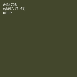 #43472B - Kelp Color Image