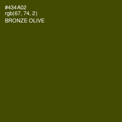 #434A02 - Bronze Olive Color Image