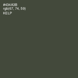 #434A3B - Kelp Color Image