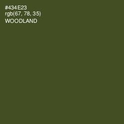 #434E23 - Woodland Color Image