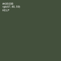 #43503B - Kelp Color Image