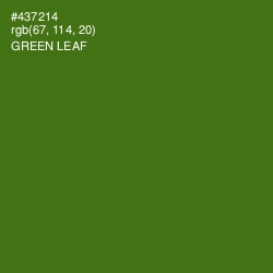 #437214 - Green Leaf Color Image