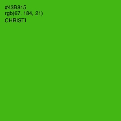 #43B815 - Christi Color Image
