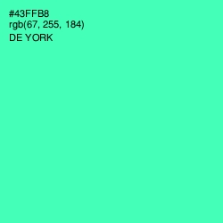 #43FFB8 - De York Color Image