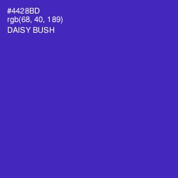 #4428BD - Daisy Bush Color Image