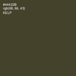 #44422B - Kelp Color Image