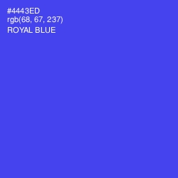 #4443ED - Royal Blue Color Image