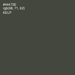 #44473E - Kelp Color Image