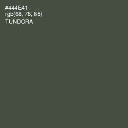 #444E41 - Tundora Color Image