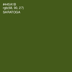 #445A1B - Saratoga Color Image