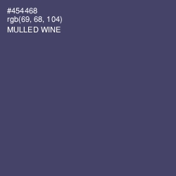 #454468 - Mulled Wine Color Image