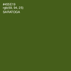 #455E19 - Saratoga Color Image