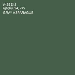 #455E48 - Gray Asparagus Color Image