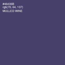 #46406B - Mulled Wine Color Image