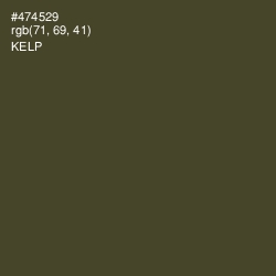 #474529 - Kelp Color Image