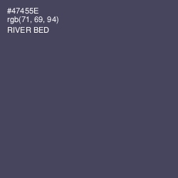 #47455E - River Bed Color Image