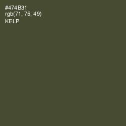 #474B31 - Kelp Color Image