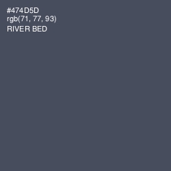 #474D5D - River Bed Color Image