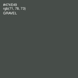 #474E49 - Gravel Color Image