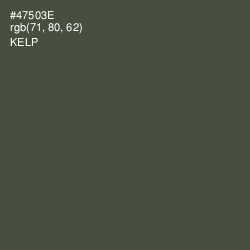#47503E - Kelp Color Image