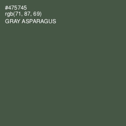 #475745 - Gray Asparagus Color Image