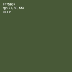 #475937 - Kelp Color Image