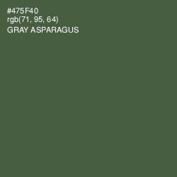 #475F40 - Gray Asparagus Color Image