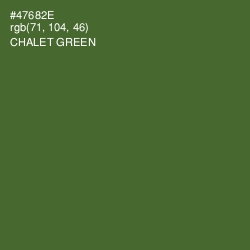 #47682E - Chalet Green Color Image