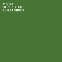 #477435 - Chalet Green Color Image