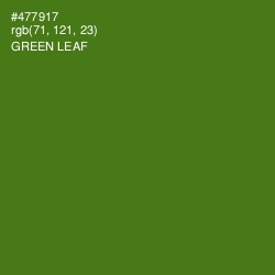 #477917 - Green Leaf Color Image