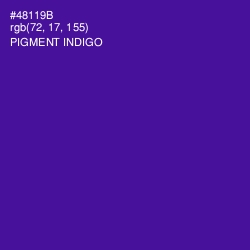 #48119B - Pigment Indigo Color Image