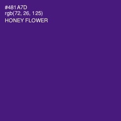 #481A7D - Honey Flower Color Image