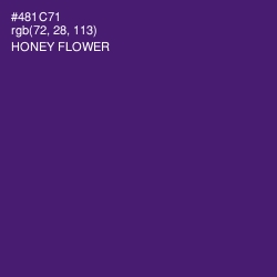 #481C71 - Honey Flower Color Image