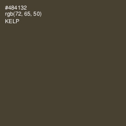 #484132 - Kelp Color Image
