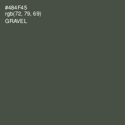 #484F45 - Gravel Color Image