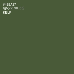 #485A37 - Kelp Color Image