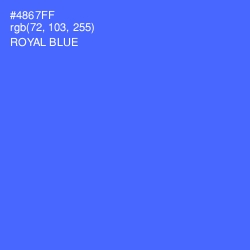 #4867FF - Royal Blue Color Image