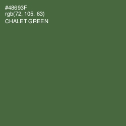 #48693F - Chalet Green Color Image