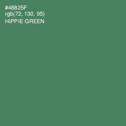 #48825F - Hippie Green Color Image