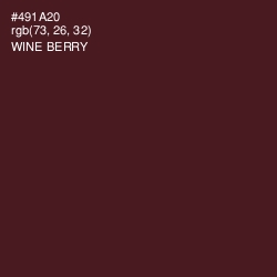 #491A20 - Wine Berry Color Image