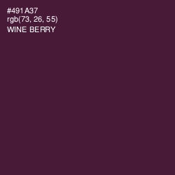 #491A37 - Wine Berry Color Image