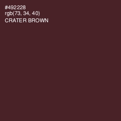 #492228 - Crater Brown Color Image