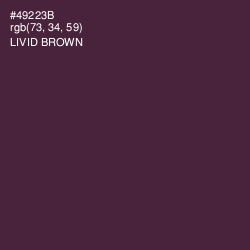 #49223B - Livid Brown Color Image