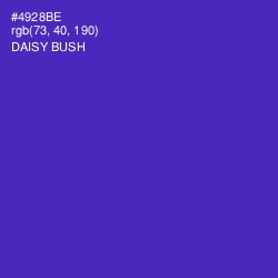 #4928BE - Daisy Bush Color Image
