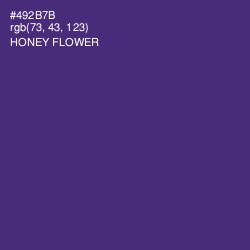 #492B7B - Honey Flower Color Image