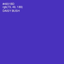 #4931BD - Daisy Bush Color Image