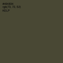 #494834 - Kelp Color Image
