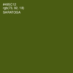 #495C12 - Saratoga Color Image