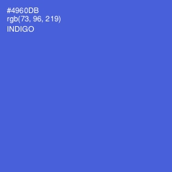 #4960DB - Indigo Color Image