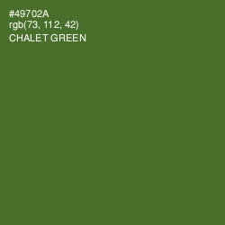 #49702A - Chalet Green Color Image